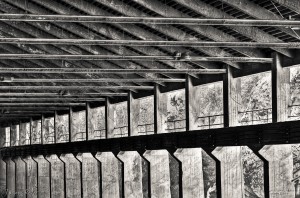 DSC_4130_tonemapped_1