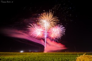 DSC_5389_1
