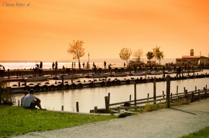 DSC_8592_1